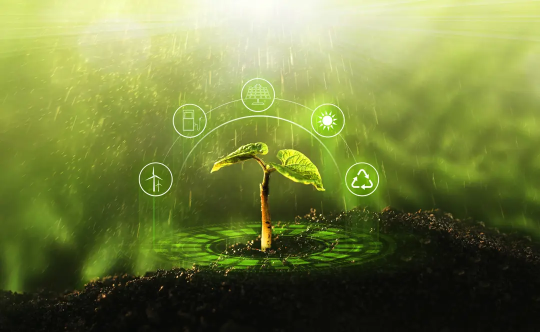 Plant 2000x1230px.jpg